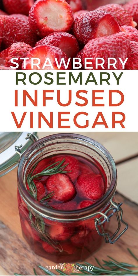 Yummy Salad Dressing, Strawberry Vinegar, Vinegar Recipes, Herbal Vinegar, Good Digestion, Flavored Vinegars, Infused Vinegars, Canned Strawberries, Homemade Strawberry Sauce