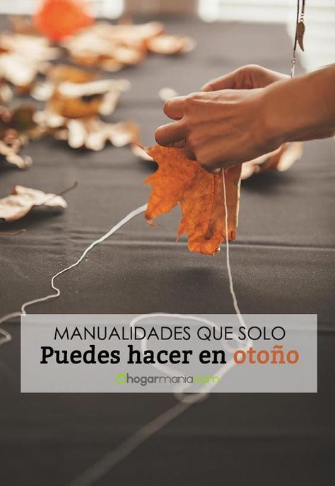 5 manualidades con elementos de la naturaleza que solo puedes hacer en otoño Wooden Wardrobe, Blogger Themes, Wooden Diy, Pumpkin Spice, Woodworking Projects, Diy Decor, Woodworking, Arts And Crafts, Thanksgiving