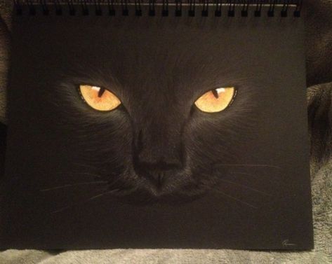 Black Paper Art, Prismacolor Drawing, Black Paper Drawing, Paper Artwork, Paper Drawing, Color Pencil Art, Color Pencil Drawing, Arte Animal, Black Paper