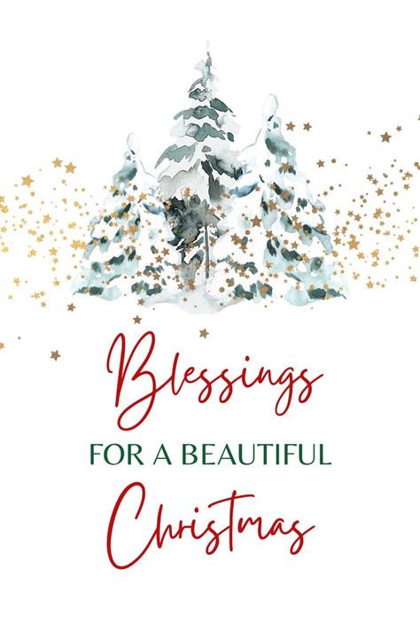 Blessed Christmas Images, Happy Xmas Images Christmas Greetings, Happy Christmas Images Pictures Xmas, Happy Christmas Wishes Beautiful, Happy Merry Christmas Pictures, Happy Xmas Wishes, Happy Merry Christmas Wishes, Blessed Christmas Greetings, Merry Xmas Quotes