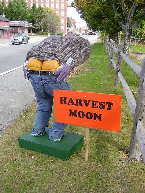 Harvest Moon by syddesigns, via Flickr Fall Displays, Pumpkin People, Scarecrows For Garden, Halloween Lawn, Casa Halloween, Pumpkin Carving Ideas, Halloween Scarecrow, Fall Outdoor Decor, Carving Ideas