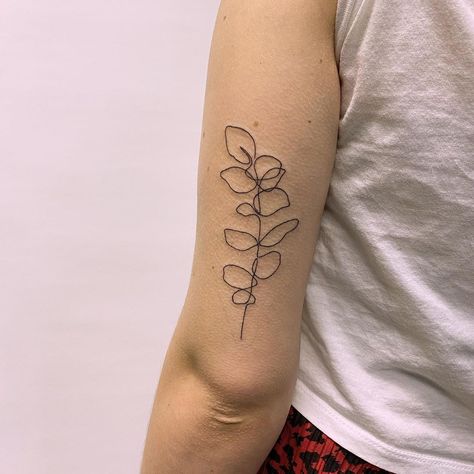 Tattoo Artist - Leeds UK on Instagram: “Continuous line eucalyptus for Sorcha’s first tattoo!  DM or email to book in!” Eucalyptus Line Tattoo, Eucalyptus Vine Tattoo, Eucalyptus Tattoos, Eucalyptus Tattoo, Nose Peircing, Private Tattoo Studio, Tattoos 2024, Flower Bouquet Tattoo, Private Tattoos