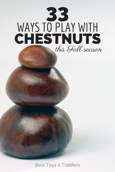 33 Ways to Play with Chestnuts this Fall season- arts, crafts and learning activities with chestnuts Chestnut Crafts, Conkers Craft, Buckeye Crafts, 11 November, Easy Activities, Autumn Crafts, Learn Islam, Reggio Emilia, Nature Crafts