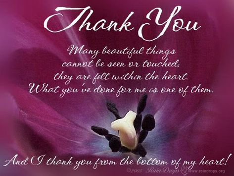 Thank You Brother Quotes by @quotesgram Friendship Thank You, Words Of Appreciation, Happy Week, Thank You Friend, Deepest Sympathy, Brother Quotes, Thank You Quotes, Appreciation Quotes, Quotes Words