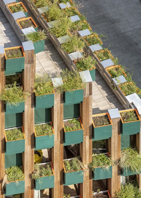 Gallery of Edison Lite Apartment Building / Manuelle Gautrand Architecture - 9 Co Housing, Vertical Landscape, Landscape Elements, Urban Fabric, Social Housing, Construction Cost, Large Planters, Urban Farming, Architecture Photo