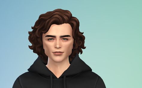 Timothee Chalamet Sims 4, Sims 4 Hair Male, Celebrity Inspired Outfits, Skins Characters, The Sims 4 Skin, Hair Tuck, Paul Atreides, Sims 4 Cc Skin, Sims 4 Characters