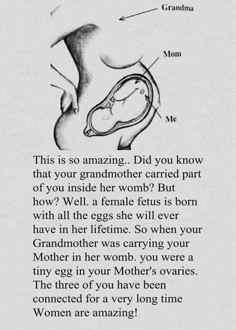 Womb Quotes, Mom Life Quotes, Pregnancy Quotes, Baby Advice, Quotes About Motherhood, Mom Stuff, Cool Ideas, Mom Quotes, Thoughts Quotes