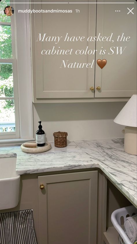 Small Kitchen Sage Green Cabinets, Taupe Painted Cabinets, She Twin Williams Kitchen Cabinet Colors, Warm Taupe Kitchen Cabinets, Bromley Taupe Cabinets, Sw Naturel, Sherwin Williams Naturel, Easy Home Improvements, Kitchen Remode