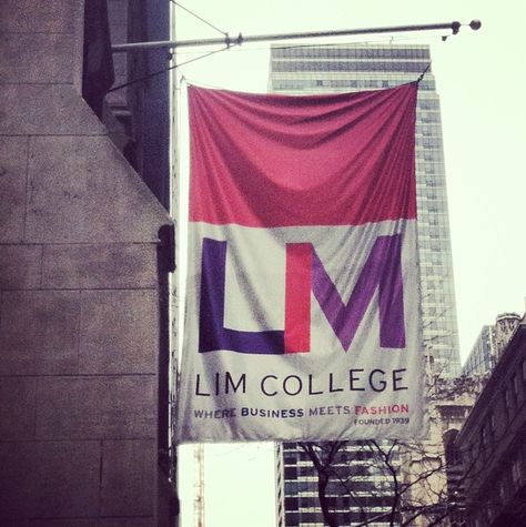 The LIM College flag waving proud. Photo credit: @Jessica Torres Lim College New York, Lim College, All About Anna, Nyc Dream, College Flags, 2024 Board, Small Community, Best Colleges, Future Vision