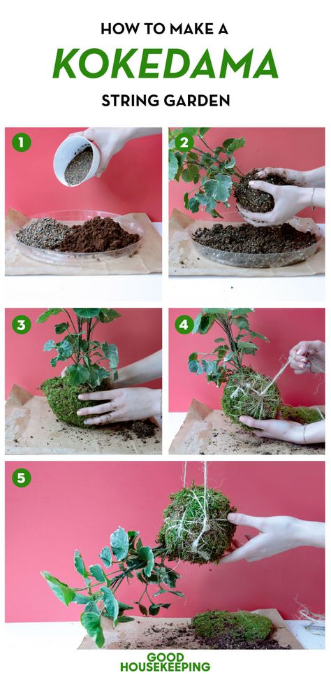 Gardening Beds, Hanging Plants Diy, String Garden, Bonsai Soil, نباتات منزلية, Moss Garden, Moss Balls, Garden Types, Hanging Garden