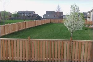 Yard Fence, Backyard Fence, Backyard Pavilion, Privacy Fences, Fence Posts, Fence Ideas, Backyard Fences, Fence Post, Yard Ideas