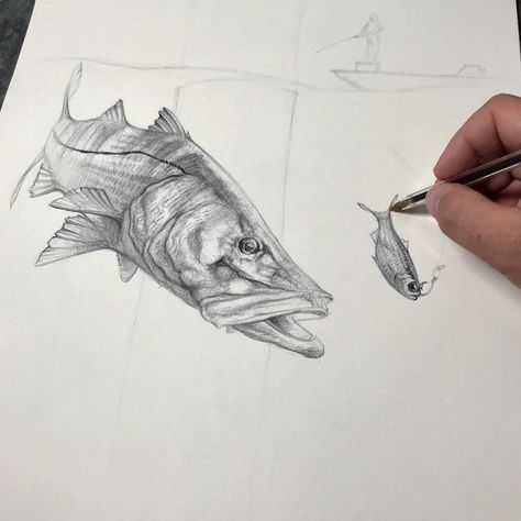 Snook Drawing, Snook Tattoo, Fishing Art, Ink Drawings, Drawing Inspo, Fish Art, Ocean Art, Art Class, Ink Drawing