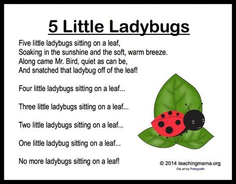 5 Little Ladybugs Song (from Teaching Mama) Bug Songs, Transition Songs, Insects Preschool, Teaching Mama, Bugs Preschool, Circle Time Songs, Kindergarten Songs, Classroom Songs, Songs For Toddlers