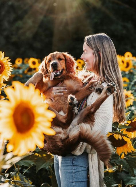 Dog Owner Photoshoot, Dog Family Pictures, Family Dog Photos, Dog Photoshoot Pet Photography, Dog Photography Poses, Cute Senior Pictures, Senior Photoshoot Poses, Photos With Dog, Senior Photo Poses