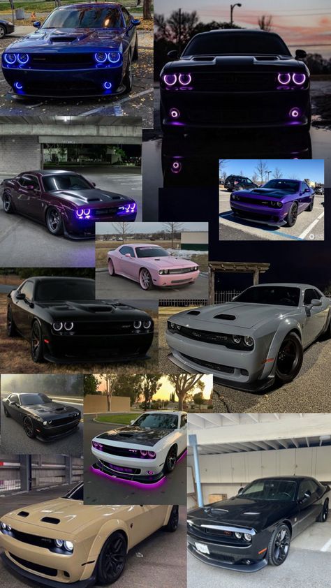 Dodge Challenger collage, #car #cars #dodge #challenger #pretty #dream Illegal Racing Aesthetic, Cars Dodge Challenger, Doge Challenger, Black Dodge Charger, Dodge Challenger Hellcat, Challenger Srt Hellcat, Dodge Challenger Srt Hellcat, Hellcat Challenger, Dodge Muscle Cars