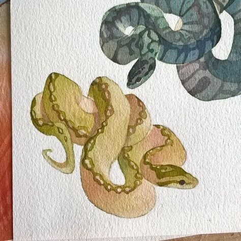 Watercolor Snake Painting, Watercolour Snake, Snakes Painting, Snake Drawings, Snake Watercolor, Snake Painting, Snake Drawing, White Gouache, Snake Art