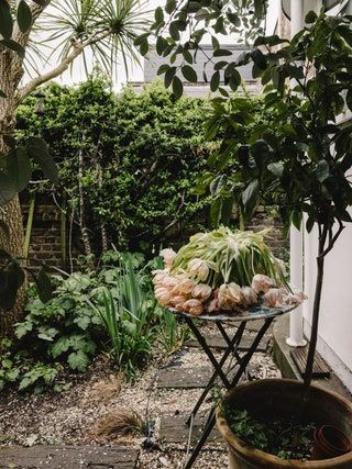 An artist's layered and light-filled house, arranged with a painter's eye | House & Garden Part Shade Plants, Live Work Space, Still Lifes, The Home Edit, Dream Studio, London House, The Painter, Tiny Spaces, Artist House