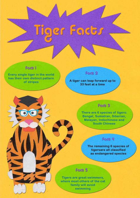 Fact Sheet Tiger Facts, Tiger Species, About Animals, Writing Lessons, Fact Sheet, Written By, Crafts For Kids, Animals, Pattern