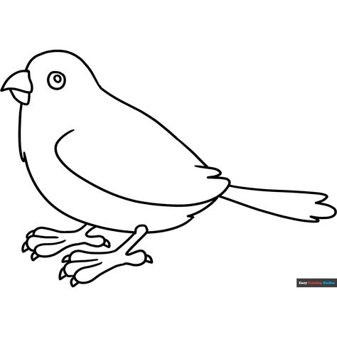 Free Sparrow Coloring Page for Kids Sparrow Pictures, Sparrow Drawing, Easy Drawing Guides, Owl Coloring Pages, Drawing Guides, Owl Cartoon, Kids Print, Printable Coloring Sheets, Drawing Tutorial Easy