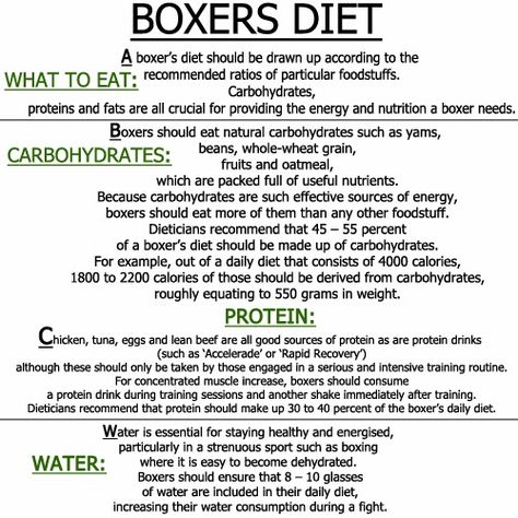 Boxers Diet, Boxer Workout, Fighter Diet, Boxing Workouts, Boxing Training Workout, Boxing Techniques, Workout Diet Plan, Female Boxers, Bodybuilding Diet