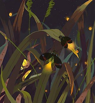 Nix Ren | Communication Arts Underground Illustration, Firefly Art, Sky Art Painting, Night Illustration, Kunst Inspiration, Communication Art, Insect Art, Night Painting, Summer Night