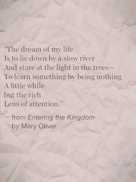 The dream of my life is to lie down by a slow river and stare at the light in the trees—to learn something by being nothing a little while but the rich lens of attention. —Mary Oliver ..* Mary Oliver Poems, Mary Oliver, Life Quotes Love, A Poem, Wonderful Words, Love Words, Poetry Quotes, Pretty Words, The Dream