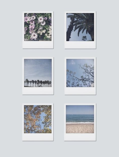 Polaroid Experiments, Print Polaroid Pictures, Summer Aesthetic Photos, Aesthetic Polaroids, Summer Polaroid, Photography Gallery Wall, Polaroid Collage, Polaroid Prints, Polaroid Art