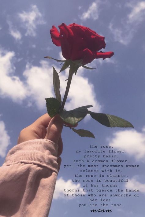 Rosé Snapchat, Despicable Me Funny, Rose Poems, Inspirational Backgrounds, Rose Pic, Rose Quotes, Aesthetic Roses, Rosé Aesthetic, Instagram Quotes Captions