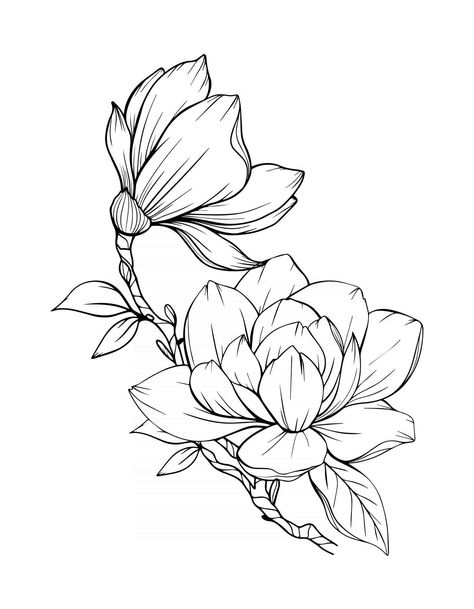 Magnolia Flower Outline Magnolia LIne Art Line Drawing Line Art Peony, Peony Outline, Magnolia Tattoo, Flower Line Drawings, Flower Drawing Design, Flower Outline, Flower Art Drawing, Pencil Drawings Easy, Flower Sketches