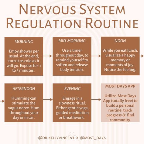 Foods To Heal Nervous System, Dysregulated Nervous System Symptoms, Poly Vagus Nerve, Sympathetic Nervous System Overactive, Yoga For Nervous System, Ways To Regulate Nervous System, Regulating Your Nervous System, How To Heal Nervous System, Nervous System Regulation Techniques