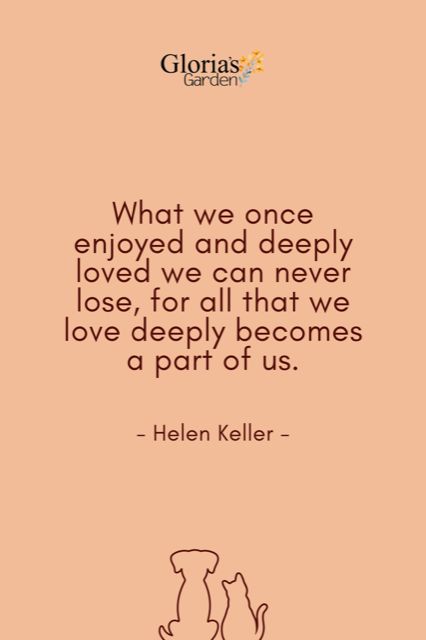 What we once enjoyed and deeply loved we can never lose - Helen Keller Quote Helen Keller Quotes, Memorial Favors, Memorial Services, Personalized Pet Memorial, Celebration Ideas, Custom Memorial, Helen Keller, Losing A Loved One, Love Deeply