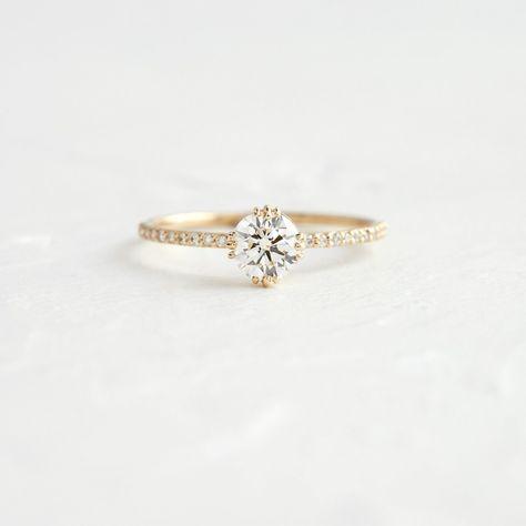 Engagement Rings Melanie Casey, Engagement Rings Styles, Delicate Fine Jewelry, Melanie Casey, Three Stone Diamond Rings Engagement, Sapphire Engagement Rings, Pave Band, Necklace Chain Lengths, Yellow Gold Setting