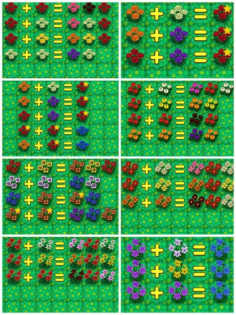 Animal Crossing New Leaf hybrid guide.  The stars on the roses are created hybrids. Animal Crossing New Leaf Flower Guide, Animal Crossing New Leaf Inspiration, Qr Codes Animal Crossing New Leaf, Acnl Flower Guide, Animal Crossing Wild World Patterns, New Leaf Qr Codes, Animal Crossing New Leaf Town Ideas, Acnl Guide, Animal Crossing New Leaf Qr Codes