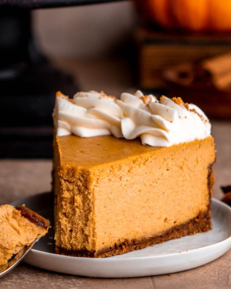 Libby’s Pumpkin Cheesecake, Pumpkin Cheesecake Biscoff Crust, Cheesecake With Biscoff Crust, Biscoff Crust, In Bloom Bakery, Bloom Bakery, Biscoff Cheesecake, Cheesecake Crust, Salted Caramel Cheesecake