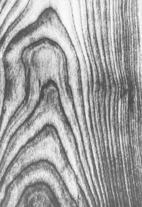 Painting Of Wood Grain, Bark Drawing Texture, Easy Texture Drawing, Nature Texture Drawing, Texture Reference Photo, Wood Texture Drawing Pencil, Wooden Texture Drawing, Leaf Texture Drawing, Rock Texture Drawing