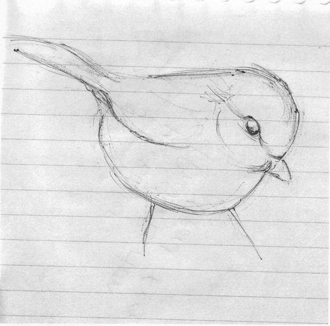 I did this little sketch a couple of years ago.  I just adore birds and these little ones, with their funny little legs just make me so happy.   They survive the freezing nights, living on disgusti… Chickadee Drawing, Drawing Of A Bird, Bird Painting Acrylic, Bird Paintings On Canvas, Bird Sketch, Bird Drawing, Chickadees, Sparrows, Animal Sketches