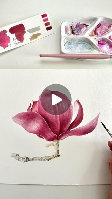 Watercolour Bathroom Art, Drawing Magnolia Flowers, Painting Magnolia Flowers, Watercolour Magnolia, Magnolia Watercolor Painting, Purple Flowering Tree, Magnolia Painting, Magnolia Watercolor, Simple Watercolor Flowers