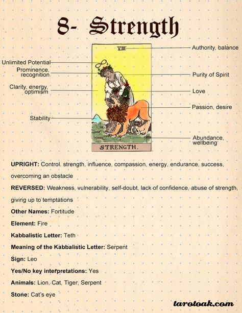 Strength Tarot Card Meanings, Keywords, Symbolism, Love, and Career | Tarot Oak Strength Reversed Tarot Meaning, Strength Tarot Meaning, Tarot Card Strength, Tarot Strength, Tarot 101, Tarot Card Meanings Cheat Sheets, Career Tarot, Strength Tarot Card, Tarot Symbolism