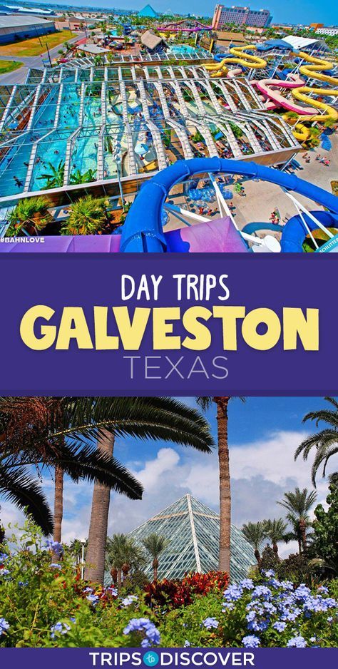 Galveston Texas Pleasure Pier, What To Do In Galveston Texas, Texas Family Vacation Ideas, Galveston Texas Vacation, Galveston Texas Beach, Sugarland Texas, Texas Vacation, Texas Trip, Galveston Beach