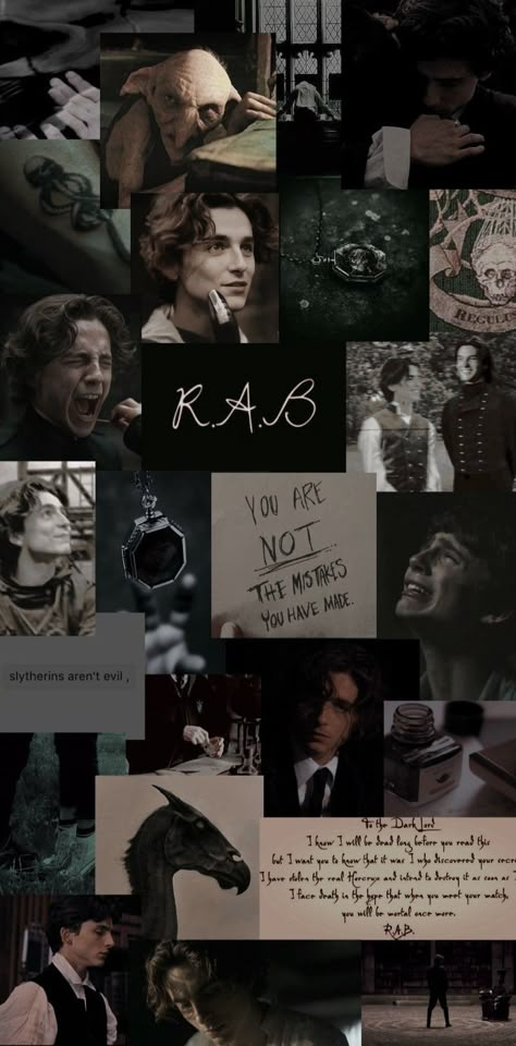 Timothee Regulus Black, Regulas Black Timothee, Regulus Black Letter To Voldemort, Regulus Black Collage, Regulus Black Computer Wallpaper, Timothee Chalamet As Regulus Black, Regulus Wallpaper Aesthetic, Regulus Black Bedroom Aesthetic, Timothee Chalamet Slytherin