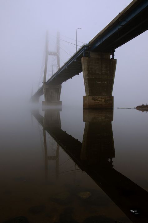 https://flic.kr/p/dyaRyf | Into the Fog | Quincy, Illinois was under a blanket of fog for much of the day.  I absolutely love taking fog pictures so I was out and about all morning.  Here is one I took of our Bayview Bridge which spans the Mississippi River.  Thanks for stopping by and have a great evening.. or day.  :)  Facebook Page:  www.facebook.com/TigerImagery Quincy Illinois, Have A Great Evening, Geography Project, Southern Illinois, The Fog, Mississippi River, Out And About, A Blanket, Golden Gate Bridge