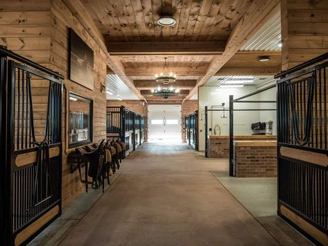 Small Stables Horse, Beautiful Horse Stables, Rustic Stables, Barn Ideas For Horses, Barn Ideas Buildings, Modern Stables, Equestrian Facility Layout, Stable Layouts, Horse Barn Layout