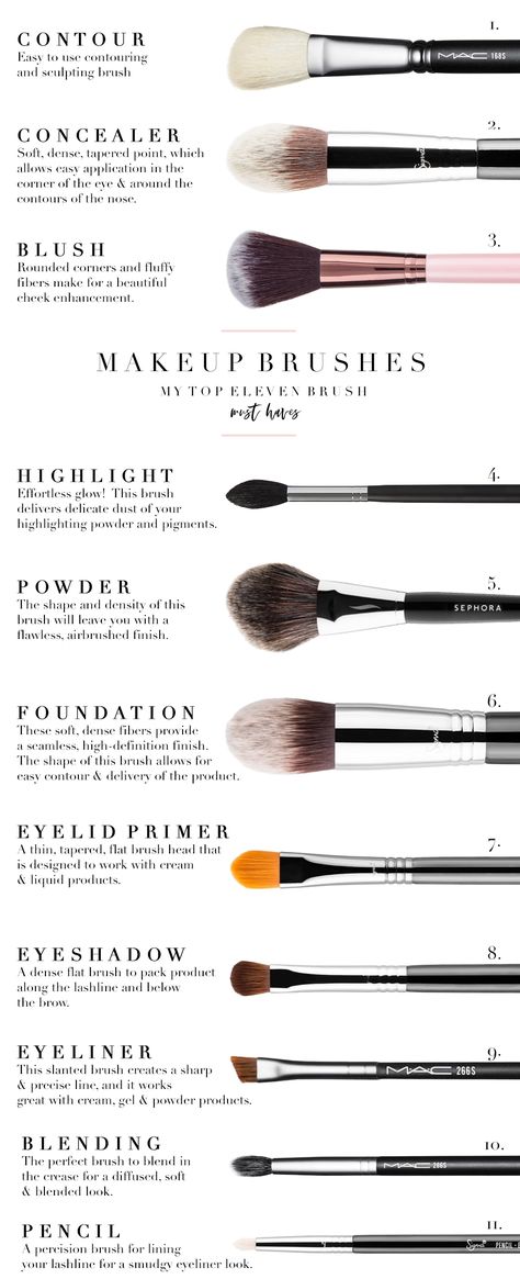 Top 11 Must Have Makeup Brushes - Lindsey Regan Thorne Must Have Makeup Brushes, Contour Brushes For Beginners, Mua Must Haves, Eyeshadow Brushes Guide, Types Of Makeup Brushes, Must Have Makeup, How To Wash Makeup Brushes, Sephora Brushes, Makeup Beginner