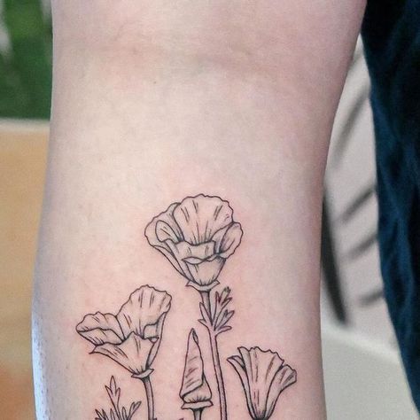 Eliza Powers on Instagram: "Large custom California poppy (Eschscholzia californica) on the calf! My favorite wildflower 🧡 • #californiapoppytattoo #poppytattoo #botanicaltattoo #californiatattoo" California Poppy Tattoo, California Tattoo, Wildflower Tattoo, Poppies Tattoo, Botanical Tattoo, California Poppy, Tattoos And Piercings, Flower Tattoo, Poppies