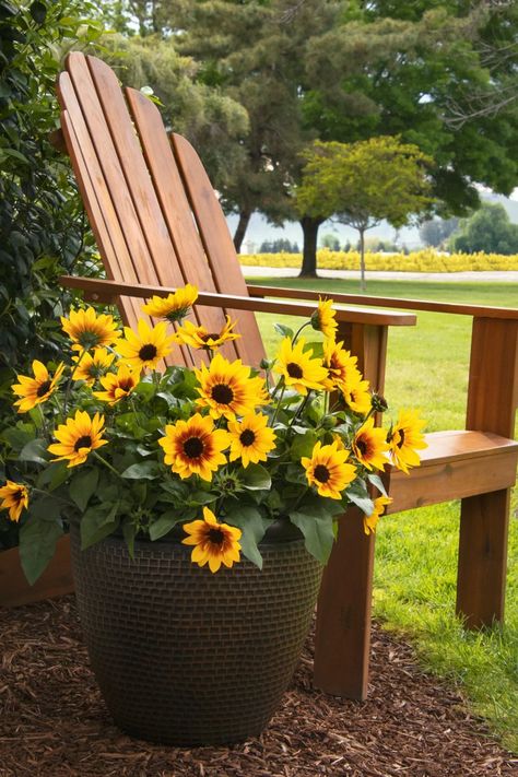 Sunbelievable Sunflower in pot Sun Flower Garden Ideas, Aesthetic Flower Pot, Sun Flower Garden, Plant Garden Design, Potted Plant Garden, Flower Garden Ideas, Full Sun Flowers, Pot Gardening, Flowers Pot