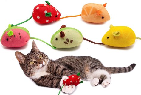 Fashion's Talk fruit mice catnip toys are lightweight and soft with pure catnip that provides physical and mental stimulation. They are fun and bright keeping your cats entertained, engaged, and active. Includes a strawberry, orange, lemon, apple, and watermelon. Buy now! Cat Toy Mouse, Catnip Mouse, Catnip Cat Toy, Dog Games, Pet Cats, Mouse Toy, Mental Stimulation, Kitten Toys, Small Animal Supplies