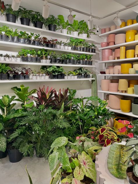 aesthetic plant shop with pots Small Plant Nursery Ideas, Plant Store Aesthetic, Plant Workshop, Aesthetic Plant, Plant Shop, Plants Indoor, Plant Aesthetic, House Plants Indoor, Shop Ideas