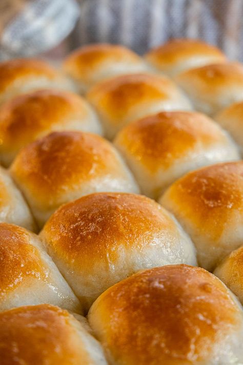 Discard Dinner Rolls, Sourdough Discard Dinner Rolls, Sourdough Discard Dinner, Discard Rolls, Easy Sourdough Discard Recipes, Sourdough Dinner, Sourdough Dinner Rolls, Sourdough Discard Recipes, Thanksgiving Rolls