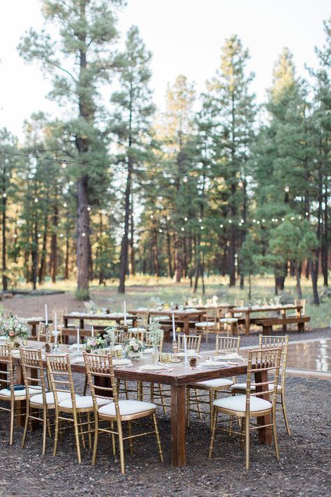 Forest Chic Flagstaff Wedding: Rachel & Mac Arizona Forest Wedding Venues, Flagstaff Arboretum Wedding, Flagstaff Wedding Venues, Flagstaff Arizona Wedding, Forest Food, Flagstaff Wedding, Wedding Guest Etiquette, Friends Rachel, Forest Wedding Venue