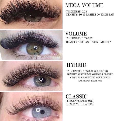 Types Of Eyelashes, Types Of Eyelash Extensions, Eyelash Extensions Care, Eyelash Tips, Eyelash Technician, Lash Extensions Styles, Eyelash Extensions Styles, Volume Lash Extensions, Perfect Eyelashes